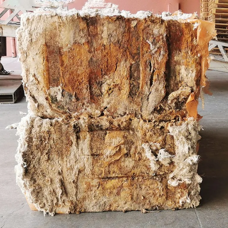 Avaryalı Pamuk